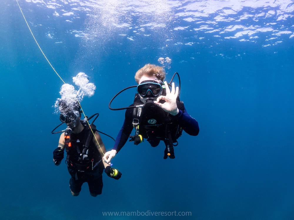 Tips For Safe Diving with nusa penida dive center Mambo Dive Resort