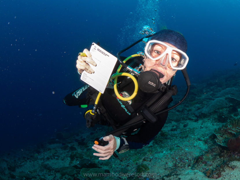 Tips For Safe Diving with nusa penida dive center Mambo Dive Resort