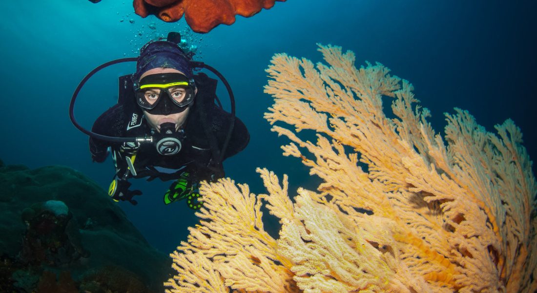 diver portrait